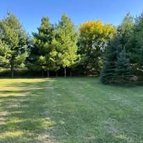 Open lawn surrounded by mature trees on the 19-acre Dark Horse Healing Lodge property